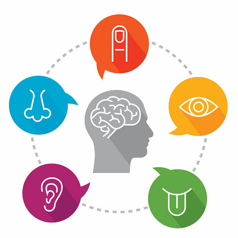 Teoría de la integración de estímulos y la materia viva.