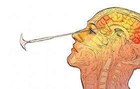 Lobotomia en humanos