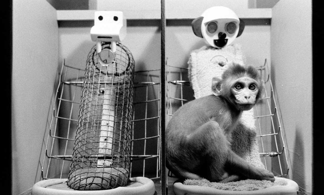 Experimentos de Harlow