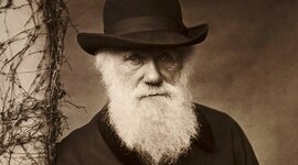 Timeline: Darwin