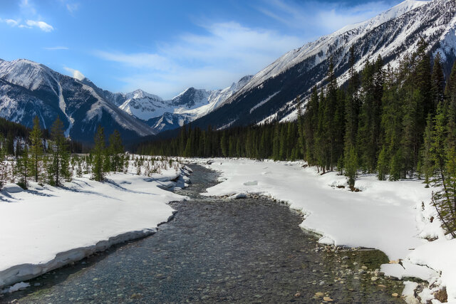 Kootenay National Park Hike