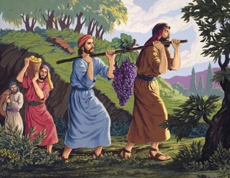 Sending of the spies