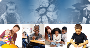 Individuals with Disabilities Education Act (IDEA)