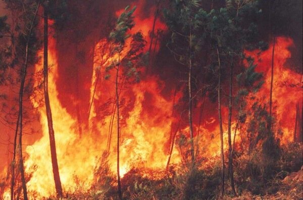 Incendis a la Catalunya central