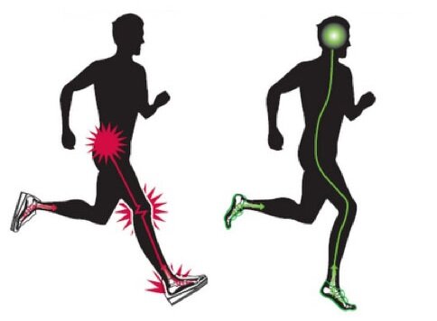 Teoría en el entrenamiento