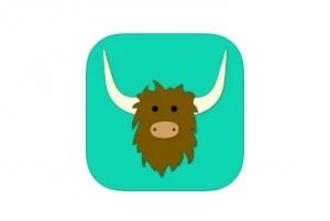 Yik Yak is released