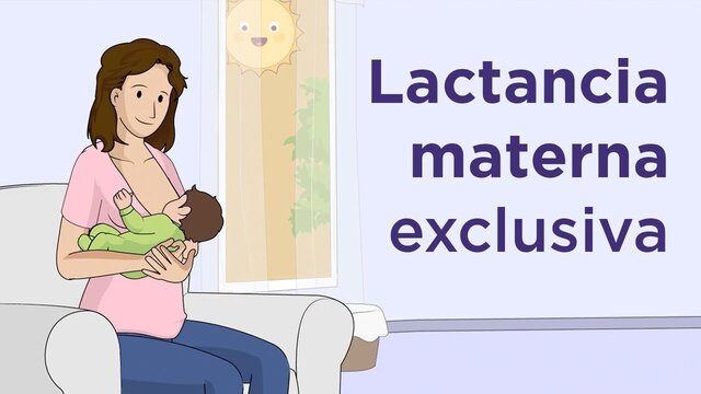 2013 Ley de promoción, protección y apoyo a la lactancia materna.