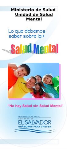 2017 LEY DE SALUD MENTAL.