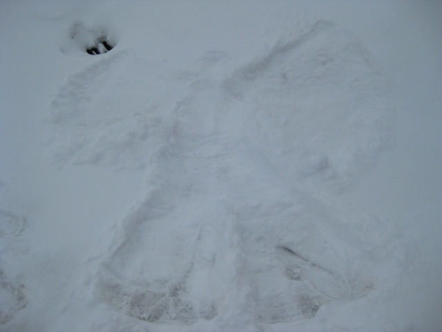 Napoleon invades Russia