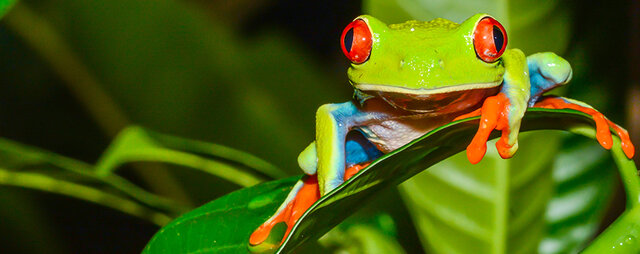 She graduated from Bangalore University