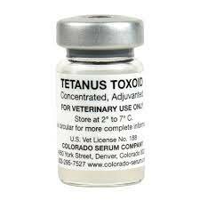 Tetanus toxoid