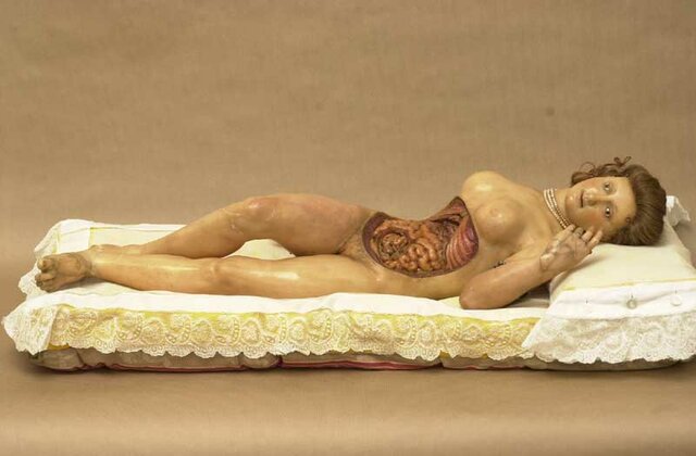 Modelos anatomicos de cera