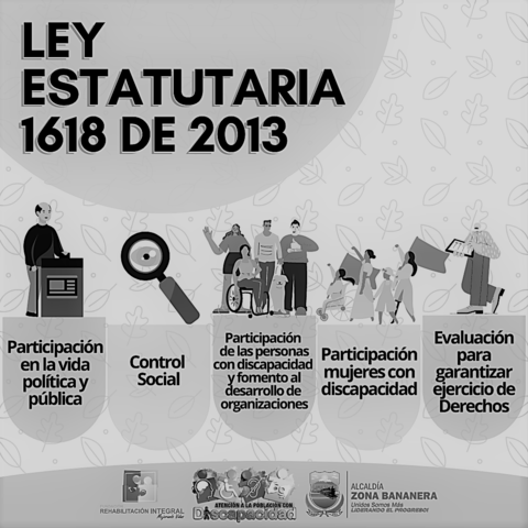 Ley Estatutaria 1618