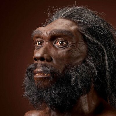 Timeline: Human evolution