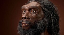 Timeline: Human evolution