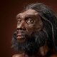 homo heidelbergensis