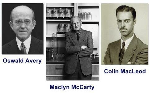 Información Genética