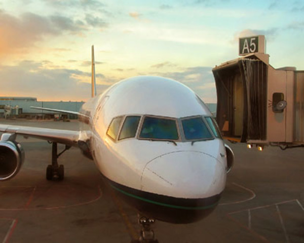 Arrive in Florida Airport