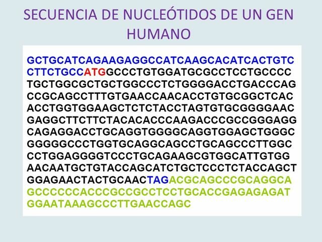 Secuencia Nucleótida del Genoma Humano