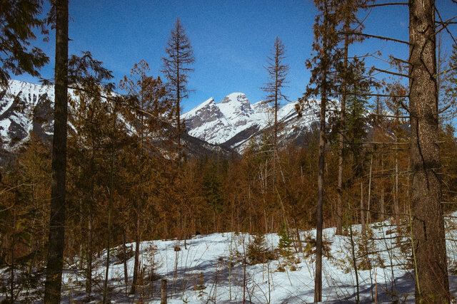 Hiking in Fernie, BC