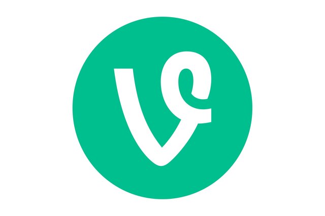 Vine