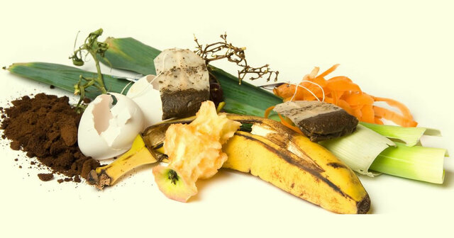 Scarti alimentari 3-6 MESI