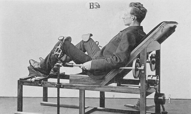 Arndt expone la teoría de la integración entre estímulos y la materia viva.