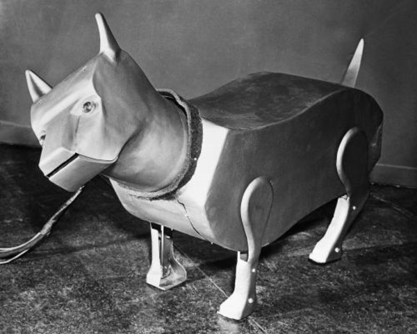 Sparko the robot dog