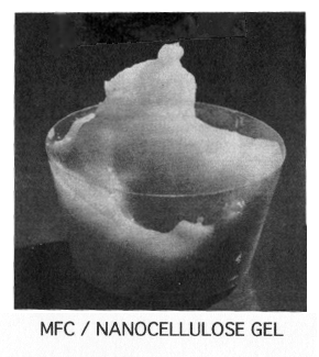 Termino Nanocelulosa