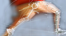 Timeline: Biomecánica