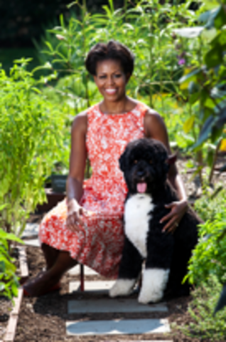 Michelle Robinson's Birth