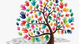 Timeline: Special Education Timeline