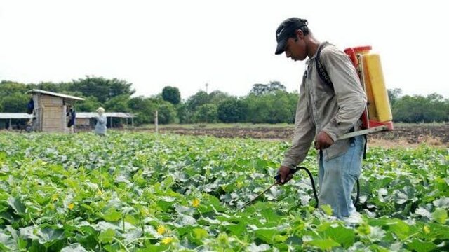 Consecuencias de los plaguicidas
