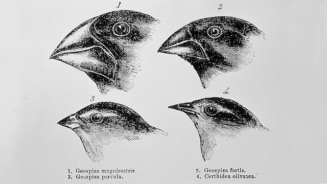 Charles Darwin Published