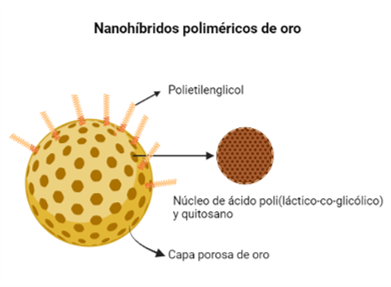 Nanohíbridos poliméricos de oro