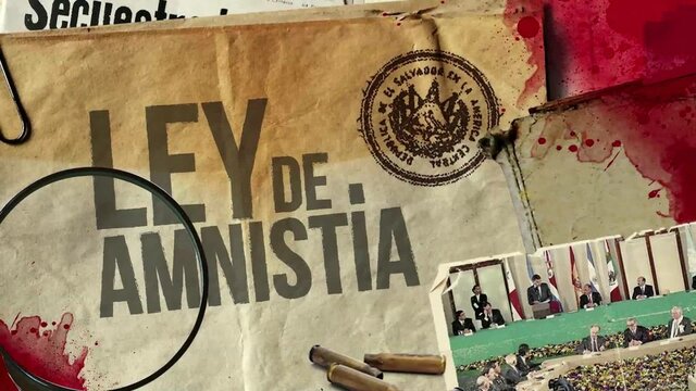 LEY DE AMNISTIA EN EL SALVADOR (1993)