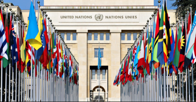 Desarrollo de instituciones internacionales