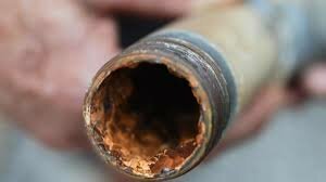 Impacto de la biopelículas