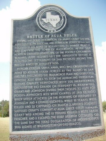 Battle of Agua Dulce