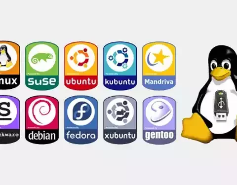 Primeras distribuciones