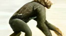 Timeline: Trabajo Proyecto