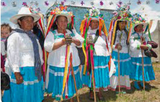 otomi