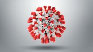 First case of covid detected