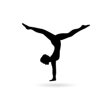 started doing gymnastics