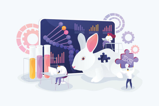 2004 a la actualidad