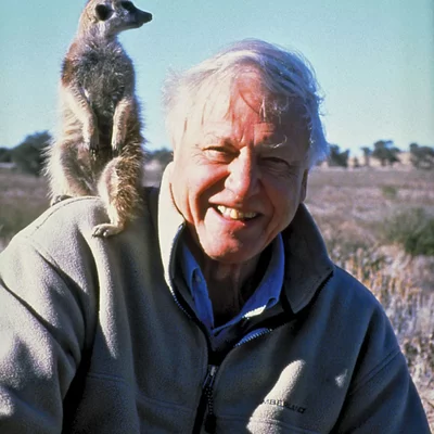 Timeline: David Attenborough