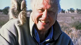 Timeline: David Attenborough