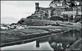 Tossa de mar