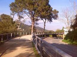 Carretera de Vallvidrera