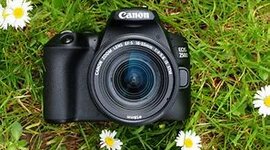 Timeline: Product Evolution Timeline